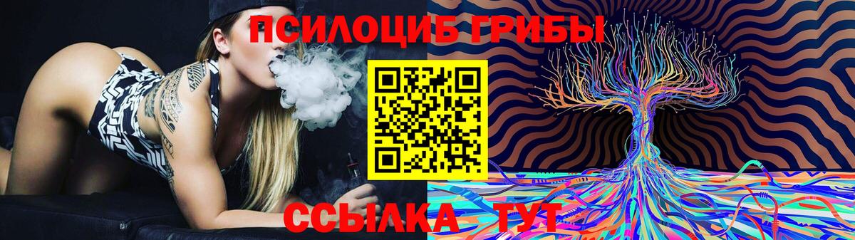Псилоцибиновые грибы мицелий  где купить наркотик  Галлюциногенные грибы прущие грибы  Псков  Вход с VPN 