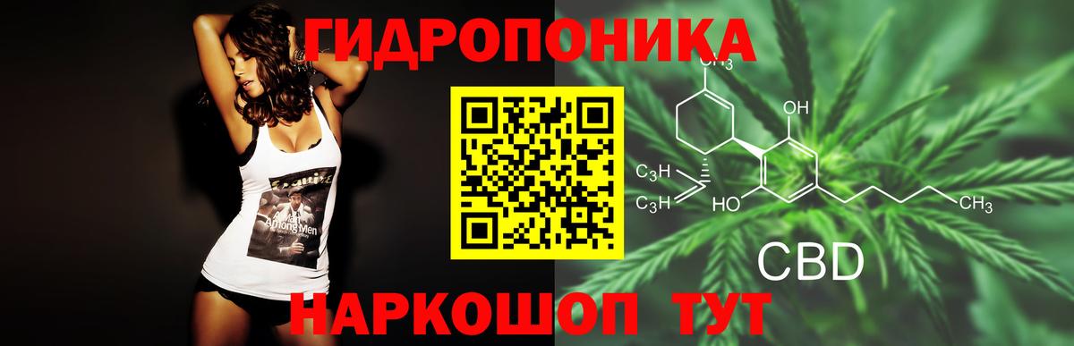 Канабис планчик Псков